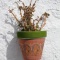 Image0015
