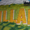 Killarney