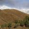 Image0009